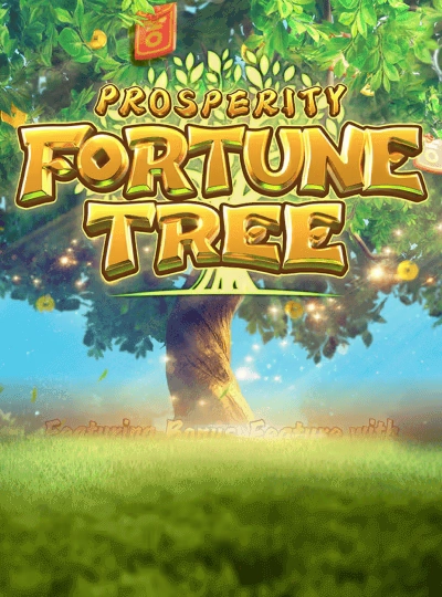 Video slots game cover